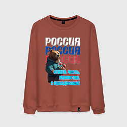 Свитшот хлопковый мужской Медведь на фоне флага, цвет: кирпичный