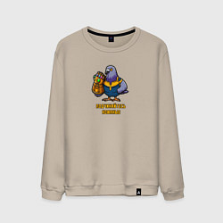 Свитшот хлопковый мужской Голубь с золотой перчаткой требует подчинятся, цвет: миндальный