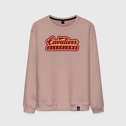 Свитшот хлопковый мужской Cavaliers Cleveland, цвет: пыльно-розовый