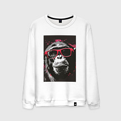 Свитшот хлопковый мужской Мартышка в очках, цвет: белый