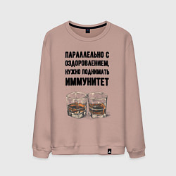 Свитшот хлопковый мужской Поднимай иммунитет, цвет: пыльно-розовый