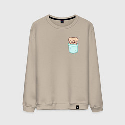 Мужской свитшот PuppyM in pocket
