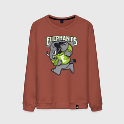 Свитшот хлопковый мужской Elephants run, цвет: кирпичный