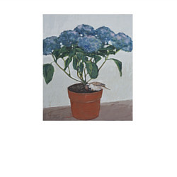 Свитшот хлопковый мужской Спящий воробушек на гортензии, цвет: белый — фото 2