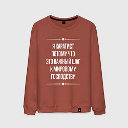 Свитшот хлопковый мужской Я каратист потому что это важный шаг, цвет: кирпичный