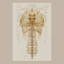 Свитшот хлопковый мужской Скелет насекомого, цвет: миндальный — фото 2