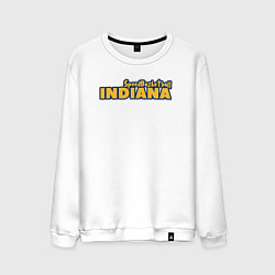 Свитшот хлопковый мужской Speed basketball Indiana, цвет: белый