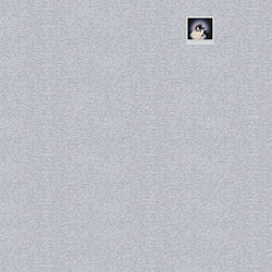 Свитшот хлопковый мужской Панк кот, цвет: меланж — фото 2