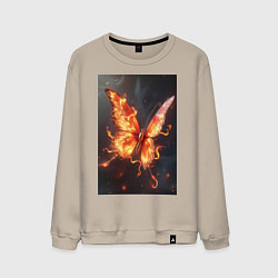 Мужской свитшот Огненная бабочка