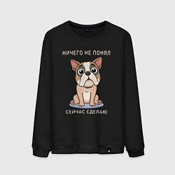 Свитшот хлопковый мужской Собака, мем, ничего не понял, цвет: черный