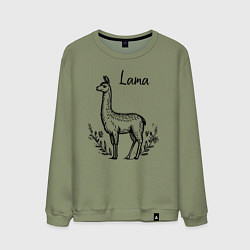Мужской свитшот Лама среди цветов
