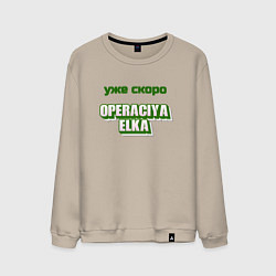 Свитшот хлопковый мужской Опереция ёлка, цвет: миндальный