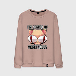 Свитшот хлопковый мужской Некоарк - Neco Arc - I afraid of vegetables, цвет: пыльно-розовый