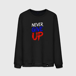 Мужской свитшот Never give up жизненный принцип