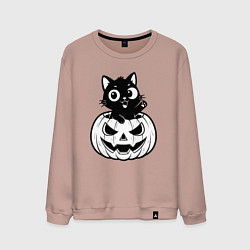 Свитшот хлопковый мужской Котенок в тыкве, цвет: пыльно-розовый