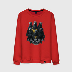 Свитшот хлопковый мужской Голуби Икс, цвет: красный