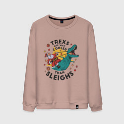 Мужской свитшот Санта на динозавре