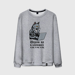 Мужской свитшот Программист неформал в косухе