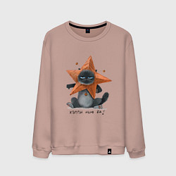 Свитшот хлопковый мужской Хмурый новогодний кот, цвет: пыльно-розовый