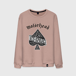Свитшот хлопковый мужской Motorhead: Ace of spades, цвет: пыльно-розовый