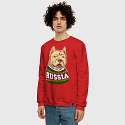 Свитшот хлопковый мужской Made in Russia: собака, цвет: красный — фото 2