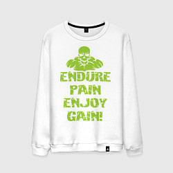 Мужской свитшот Endure pain enjoy gain