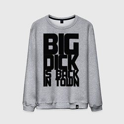 Свитшот хлопковый мужской BIG DICK IS BACK IN TOWN, цвет: меланж