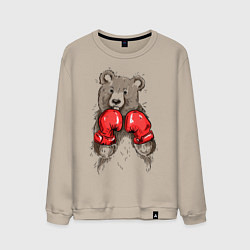 Свитшот хлопковый мужской Bear Boxing, цвет: миндальный