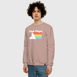 Свитшот хлопковый мужской Pink Floyd, цвет: пыльно-розовый — фото 2