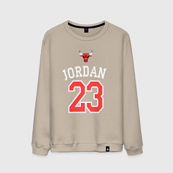 Мужской свитшот Jordan 23