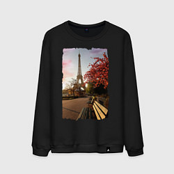 Свитшот хлопковый мужской Осенний Париж, цвет: черный