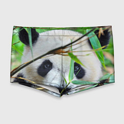 Мужские плавки Панда в лесу, цвет: 3D-принт