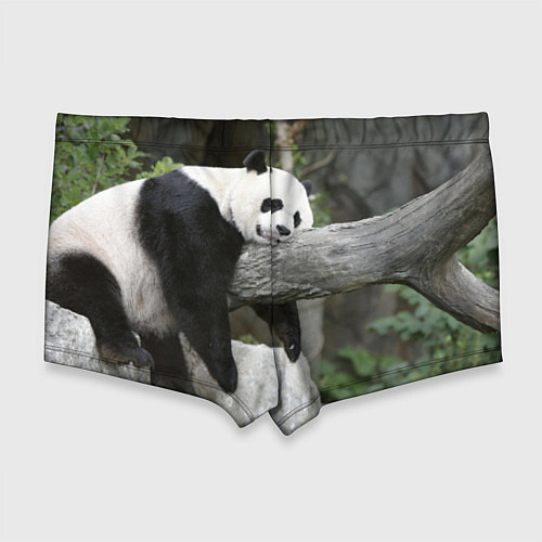 Мужские плавки Большая уставшая панда / 3D-принт – фото 2