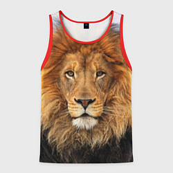 Мужская майка без рукавов Красавец лев