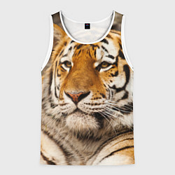 Майка-безрукавка мужская Мудрый тигр, цвет: 3D-белый