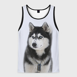 Мужская майка без рукавов ХАСКИ