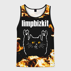 Майка-безрукавка мужская Limp Bizkit рок кот и огонь, цвет: 3D-черный