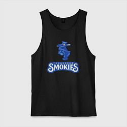 Майка мужская хлопок Tennessee smokies - baseball team, цвет: черный