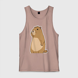 Мужская майка Прекрасная капибара