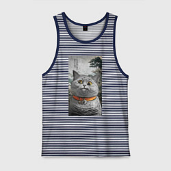 Майка мужская хлопок Мемный кот в японском стиле, цвет: синяя тельняшка