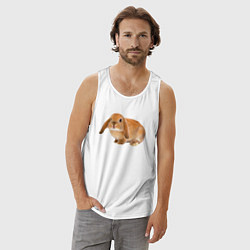 Майка мужская хлопок Рыжий пушистый кролик, цвет: белый — фото 2