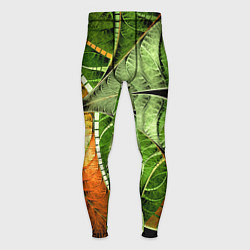 Тайтсы мужские Растительный абстрактный фрактальный паттерн Veget, цвет: 3D-принт
