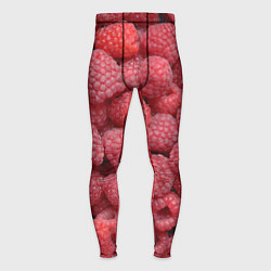 Тайтсы мужские Малина - ягоды, цвет: 3D-принт