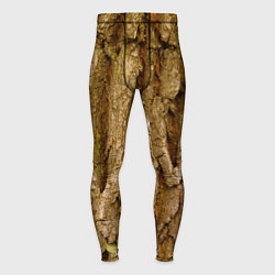 Тайтсы мужские Кора дерева текстура, цвет: 3D-принт