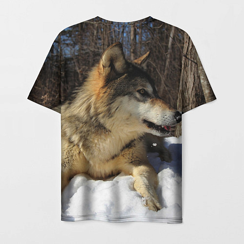 Мужская футболка Волк лежит на снегу / 3D-принт – фото 2