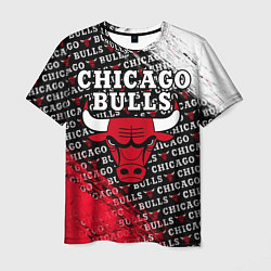 Футболка мужская CHICAGO BULLS 6, цвет: 3D-принт