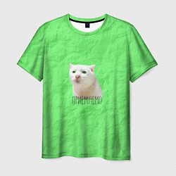 Футболка мужская Приемлемо кот мем, цвет: 3D-принт