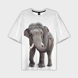 Мужская футболка оверсайз Большой слон