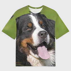 Футболка оверсайз мужская Бернский зенненхунд, цвет: 3D-принт