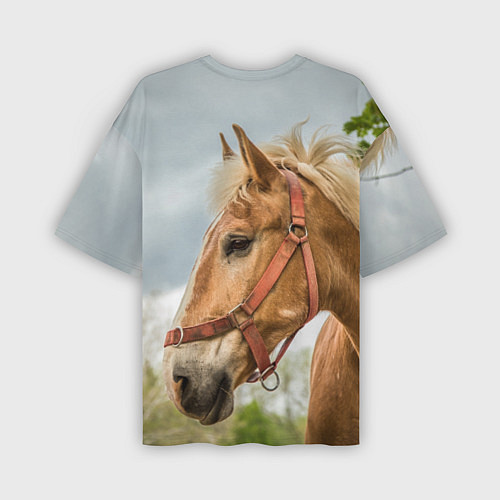Мужская футболка оверсайз Игривая лошадка / 3D-принт – фото 2